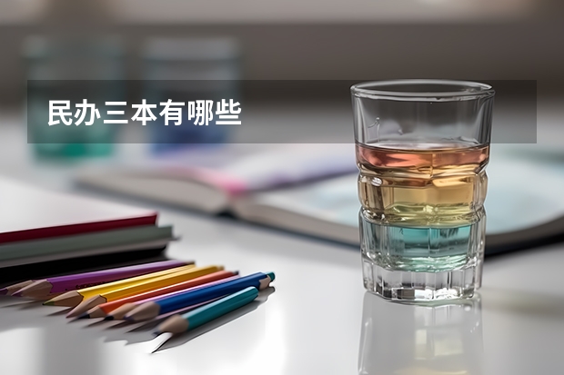 民办三本有哪些