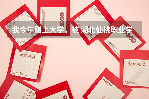 我今年刚上大学，被 湖北仙桃职业学校录取了，想问问这个学校 怎么样？