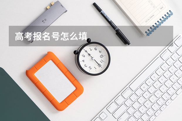 高考报名号怎么填