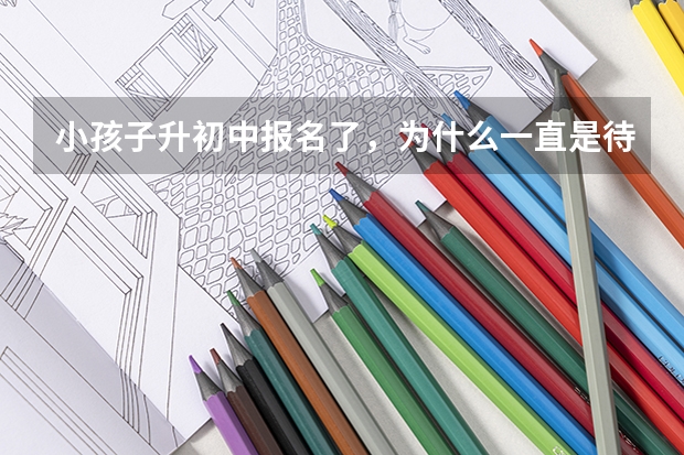 小孩子升初中报名了，为什么一直是待审核状态？
