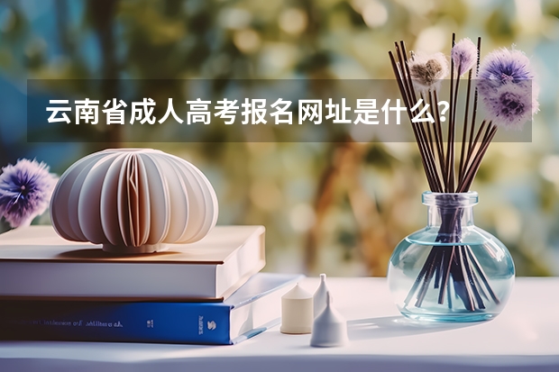 云南省成人高考报名网址是什么？