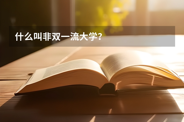 什么叫非双一流大学？