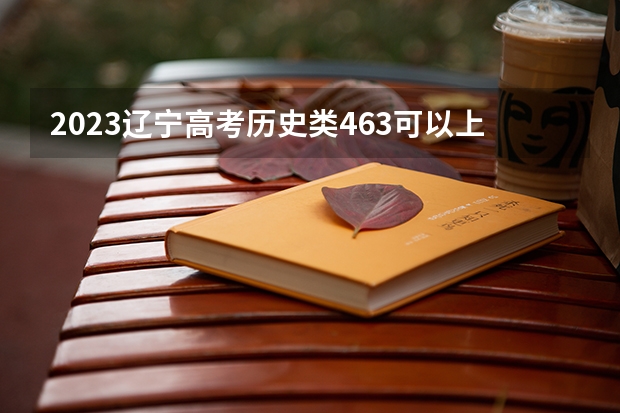 2023辽宁高考历史类463可以上什么大学