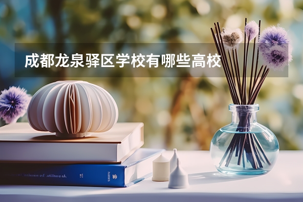 成都龙泉驿区学校有哪些高校