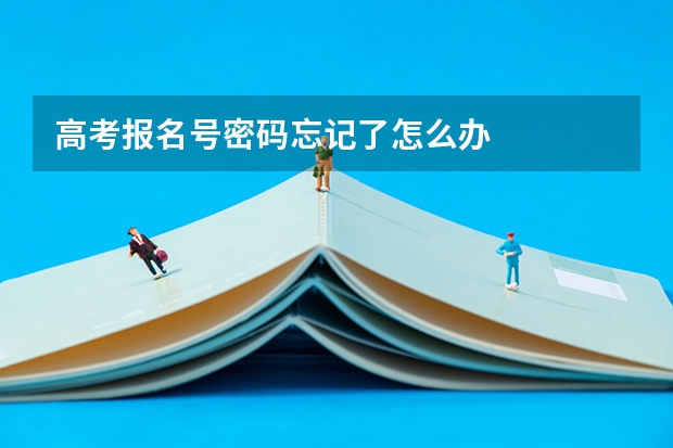 高考报名号密码忘记了怎么办