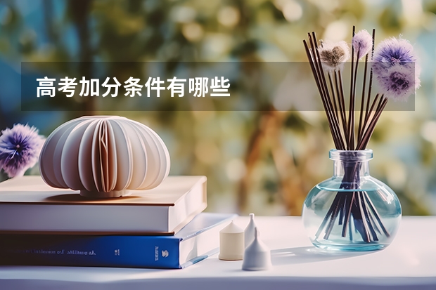 高考加分条件有哪些