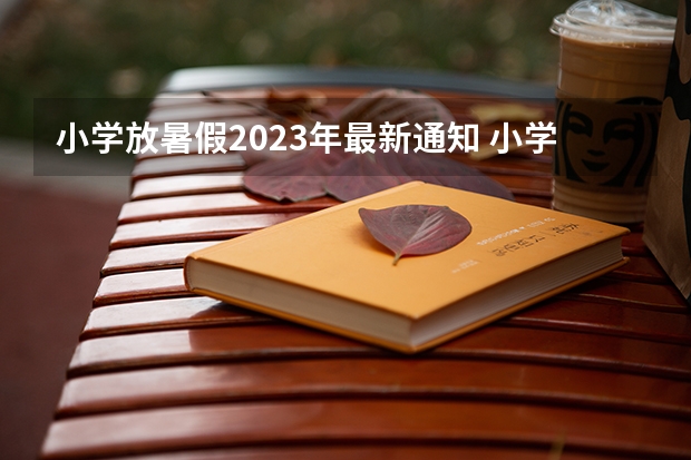 小学放暑假2023年最新通知 小学2023年暑假什么时候放假呢