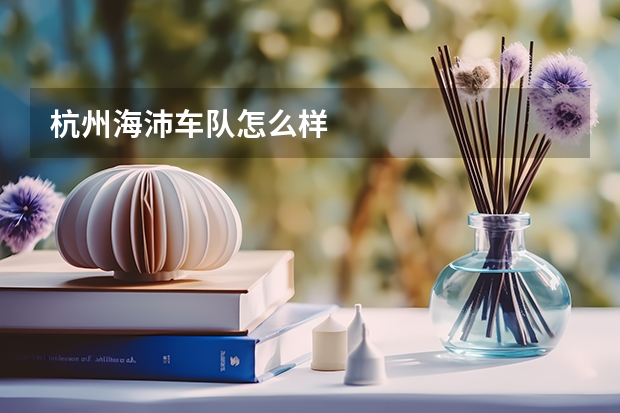 杭州海沛车队怎么样