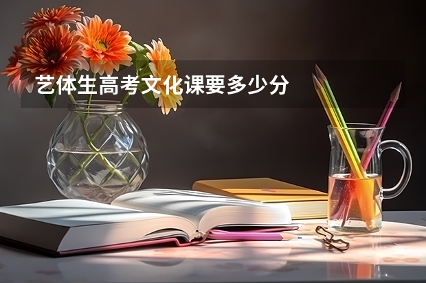 艺体生高考文化课要多少分
