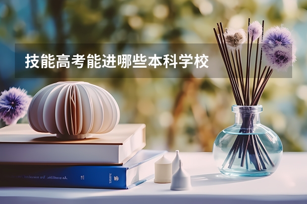 技能高考能进哪些本科学校