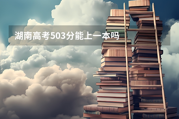 湖南高考503分能上一本吗