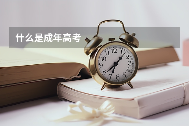 什么是成年高考