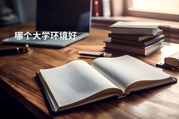 哪个大学环境好