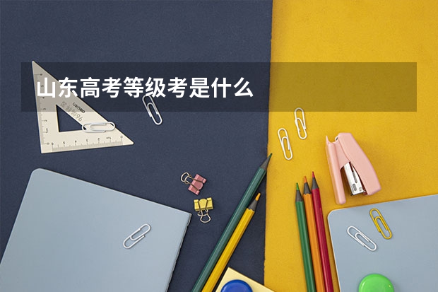 山东高考等级考是什么