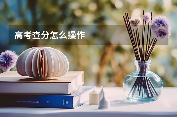 高考查分怎么操作