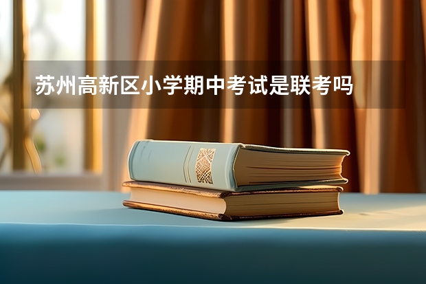 苏州高新区小学期中考试是联考吗