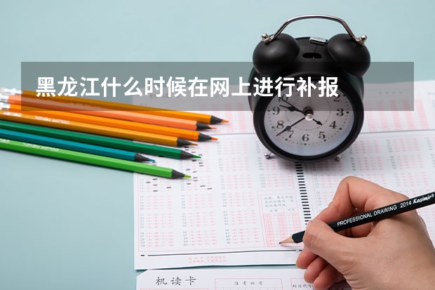黑龙江什么时候在网上进行补报
