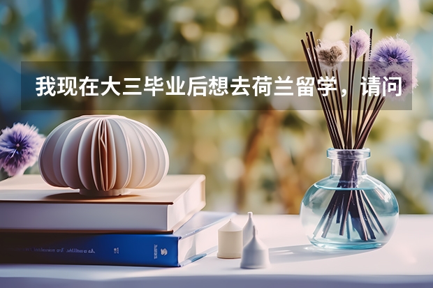 我现在大三毕业后想去荷兰留学，请问我该怎么准备，什么时候报名，什么时候申请学校谢谢！疑惑很多多谢帮