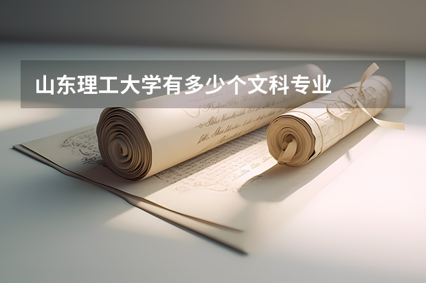 山东理工大学有多少个文科专业