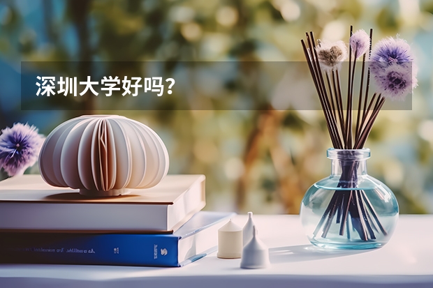 深圳大学好吗?