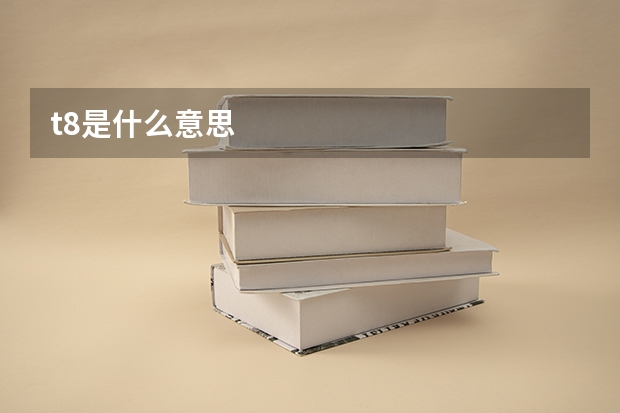 t8是什么意思