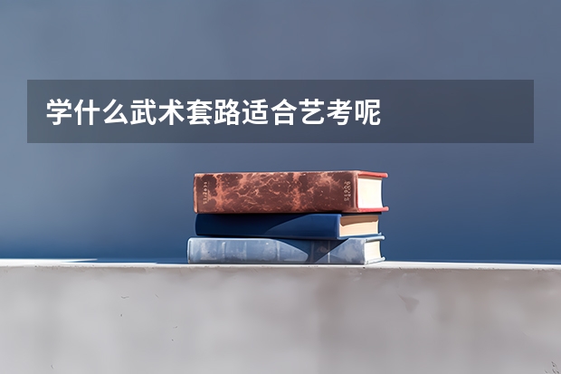 学什么武术套路适合艺考呢