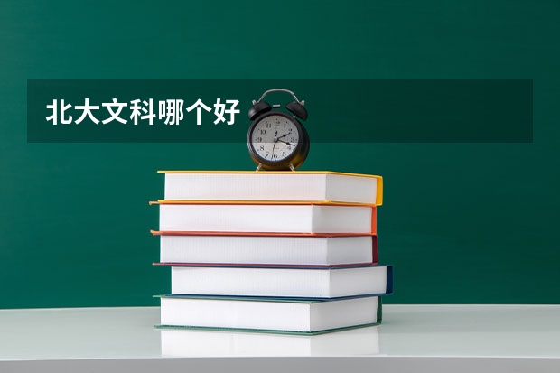 北大文科哪个好