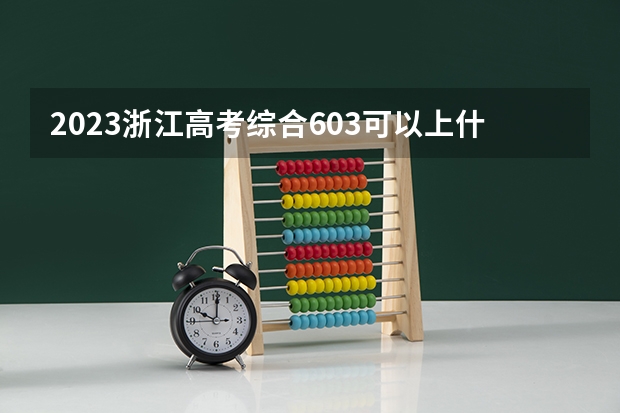 2023浙江高考综合603可以上什么大学