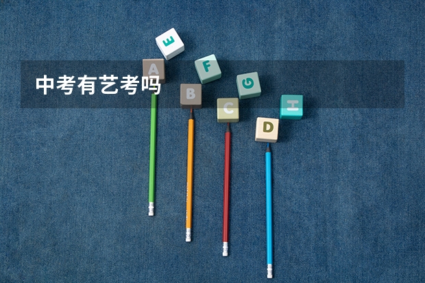 中考有艺考吗
