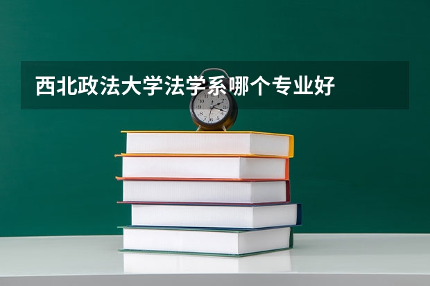 西北政法大学法学系哪个专业好