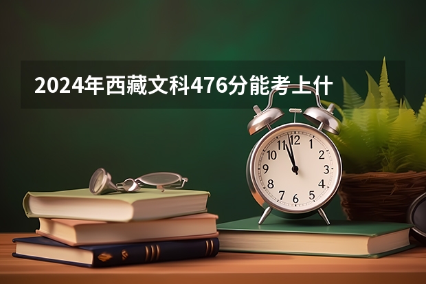 2024年西藏文科476分能考上什么大学？