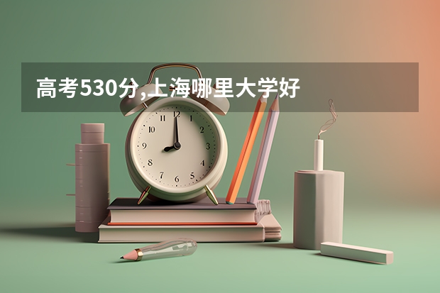 高考530分,上海哪里大学好