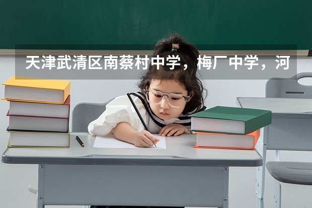 天津武清区南蔡村中学，梅厂中学，河西务中学，英华普通班哪个教学质量更好一些