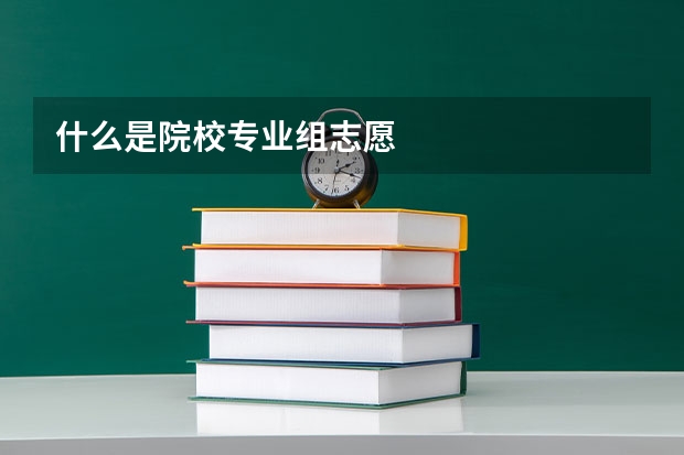 什么是院校专业组志愿