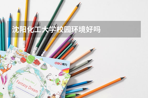 沈阳化工大学校园环境好吗