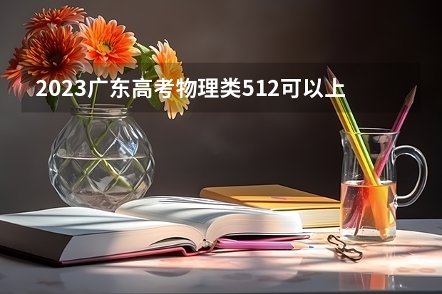 2023广东高考物理类512可以上什么大学