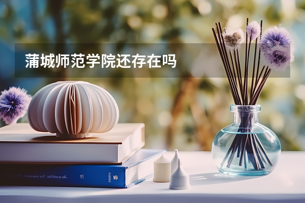 蒲城师范学院还存在吗