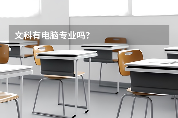 文科有电脑专业吗？