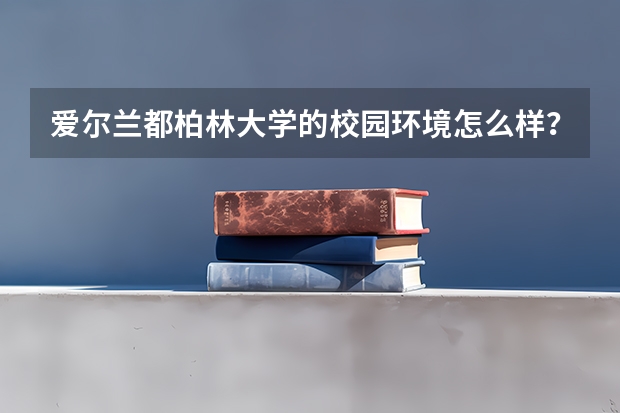 爱尔兰都柏林大学的校园环境怎么样？