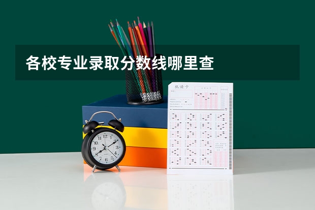 各校专业录取分数线哪里查
