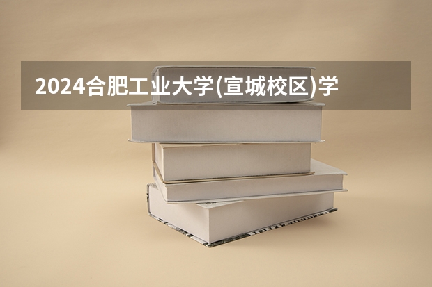 2024合肥工业大学(宣城校区)学科评估结果