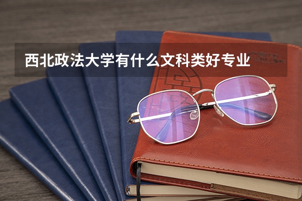 西北政法大学有什么文科类好专业