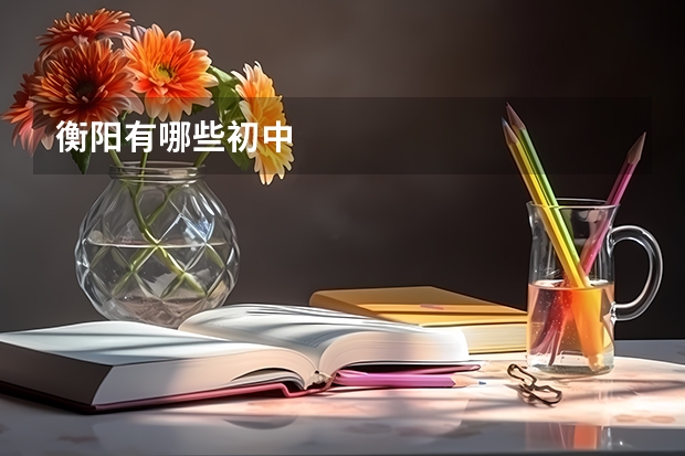 衡阳有哪些初中