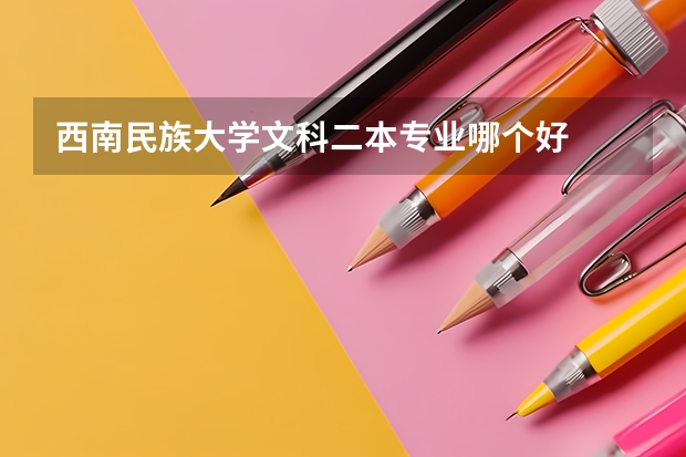 西南民族大学文科二本专业哪个好