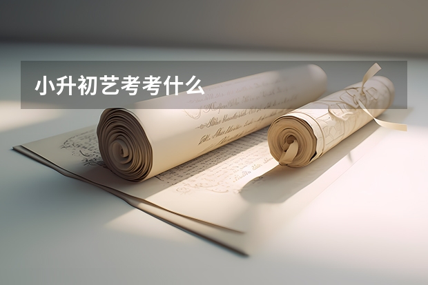 小升初艺考考什么