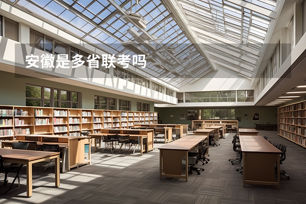 安徽是多省联考吗