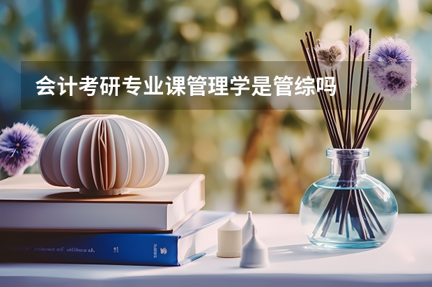 会计考研专业课管理学是管综吗
