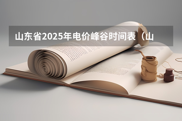 山东省2025年电价峰谷时间表（山东省2025年三支一扶报名时间）