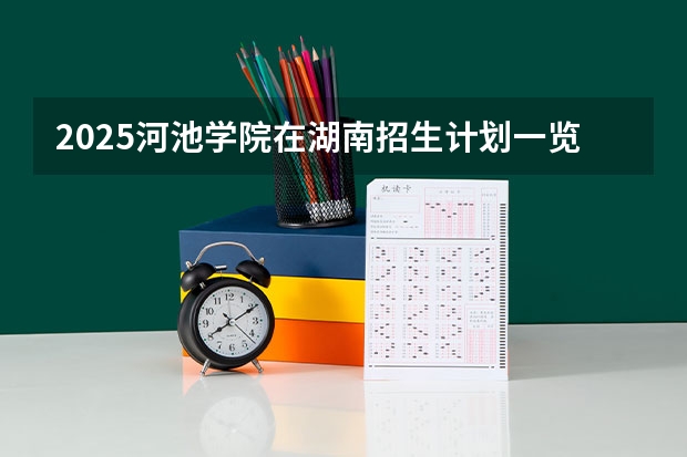 2025河池学院在湖南招生计划一览表