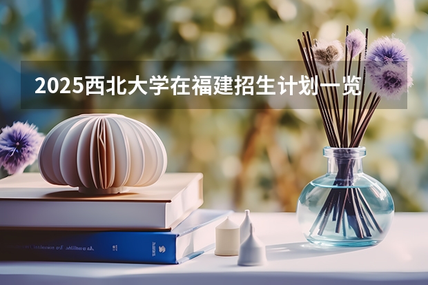 2025西北大学在福建招生计划一览表